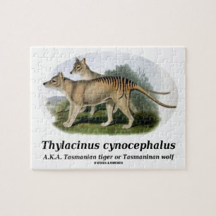 Thylacinusのcynocephalus (タスマニアトラかオオカミ) ジグソーパズル