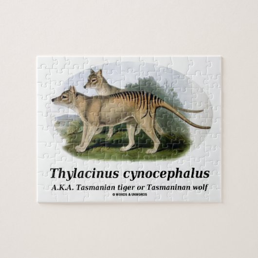 Thylacinusのcynocephalus (タスマニアトラかオオカミ) ジグソーパズル (横)