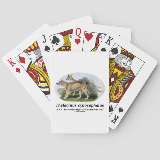 Thylacinusのcynocephalus (タスマニアトラかオオカミ) トランプ (裏面)