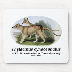 Thylacinusのcynocephalus (タスマニアトラかオオカミ) マウスパッド