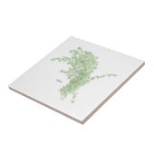 Thyme Drawing タイル (側面)