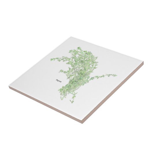 Thyme Drawing タイル (側面)