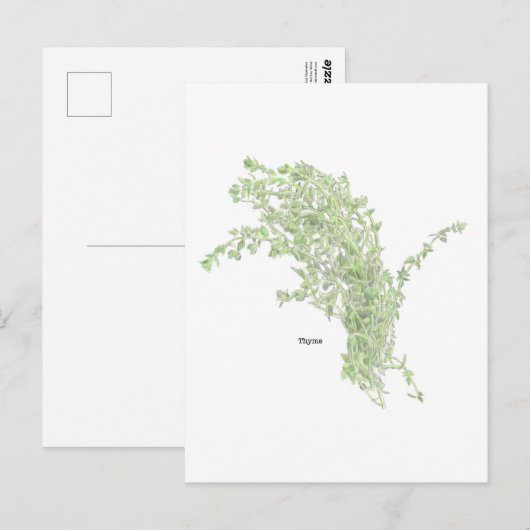Thyme Drawing ポストカード (正面/裏面)