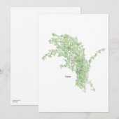 Thyme Drawing 招待状 (正面/裏面)