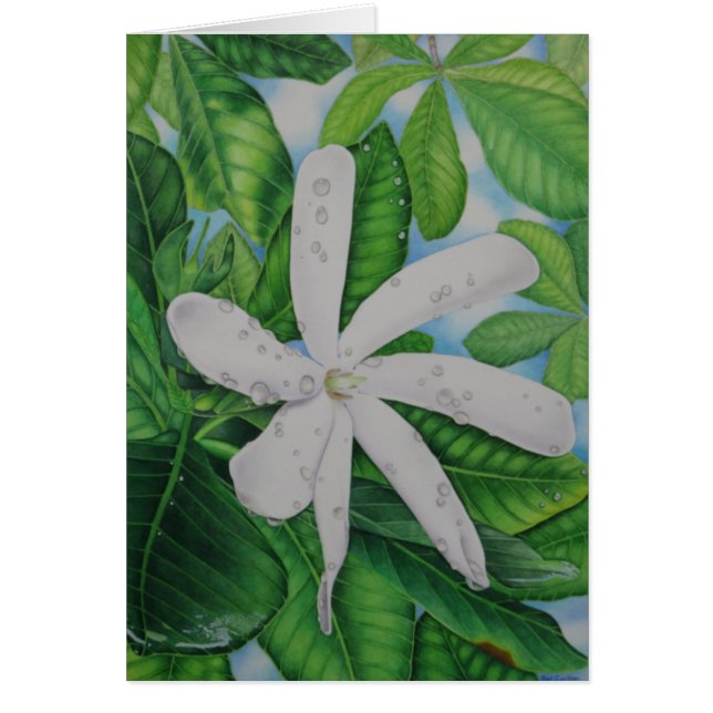 Tiareタヒチ (正面)