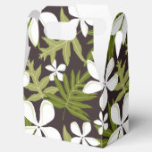 TIARE （オリーブ・コンボ） フェイバーボックス (オープン)