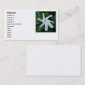 Tiare TahitianのGardenia 名刺 (正面/裏面)