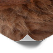 Tibetan Mastiff pup ポスター (角)