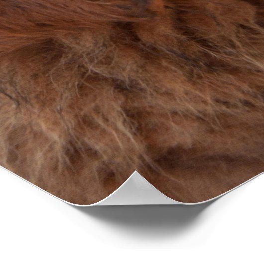 Tibetan Mastiff pup ポスター (角)