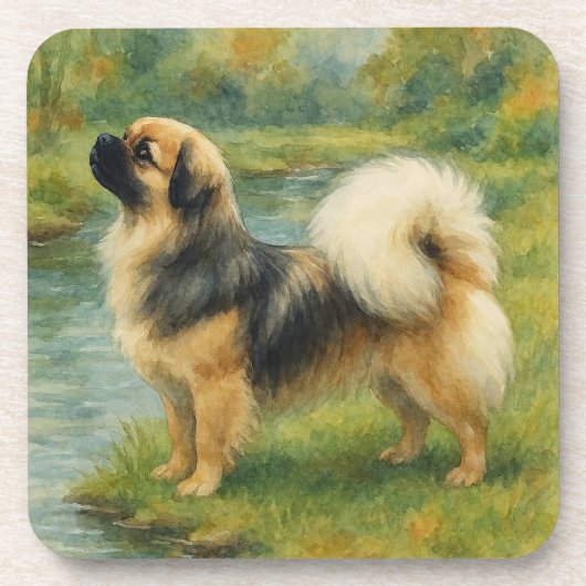 Tibetan Spaniel コースター (正面)