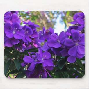Tibouchinaの花 マウスパッド