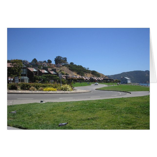 Tiburon (正面横)
