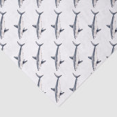 Tiburon cailon 薄葉紙 (詳細)