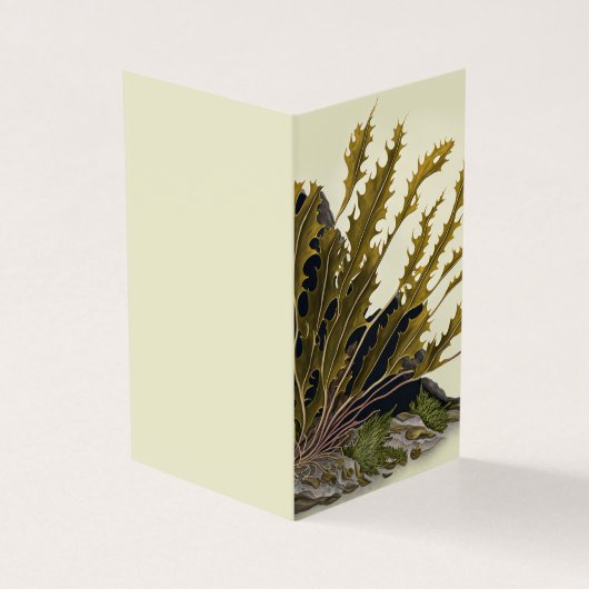 Tidal Fronds (外部)