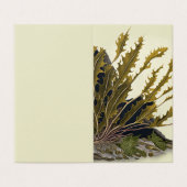 Tidal Fronds (外部フラット)