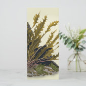 Tidal Fronds (スタンド正面)