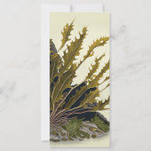 Tidal Fronds (正面)