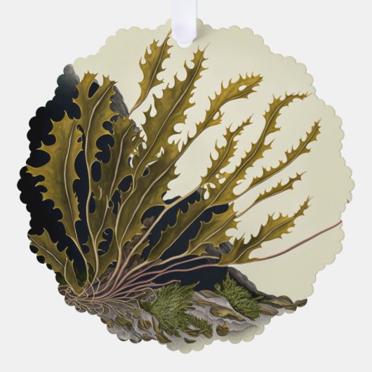 Tidal Fronds オーナメントカード (正面)