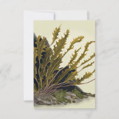 Tidal Fronds カード (正面)