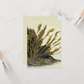 Tidal Fronds カード (正面/裏面インサイチュ)