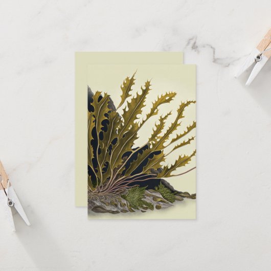 Tidal Fronds カード (正面/裏面インサイチュ)