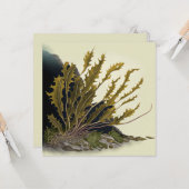 Tidal Fronds カード (正面/裏面インサイチュ)