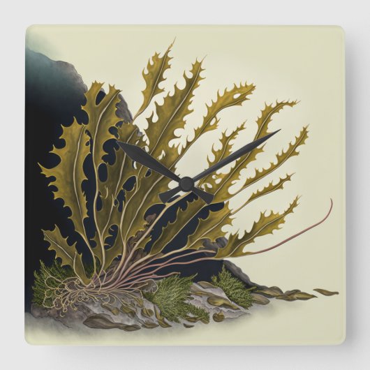 Tidal Fronds スクエア壁時計 (正面)