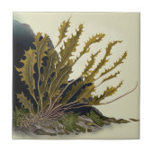 Tidal Fronds タイル (正面)