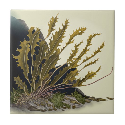 Tidal Fronds タイル (正面)