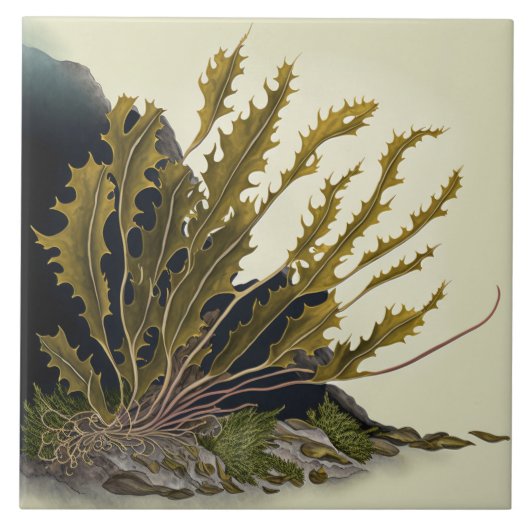 Tidal Fronds タイル (正面)