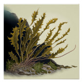 Tidal Fronds ポスター (正面)