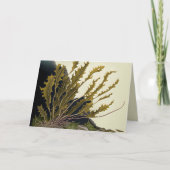Tidal Fronds 招待状 (正面)