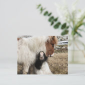 TIddlesおよび嵐の明白な郵便はがき ポストカード (スタンド正面)