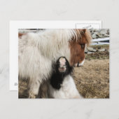 TIddlesおよび嵐の明白な郵便はがき ポストカード (正面/裏面)