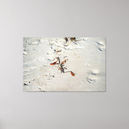 Tideline Calligraphy キャンバスプリント