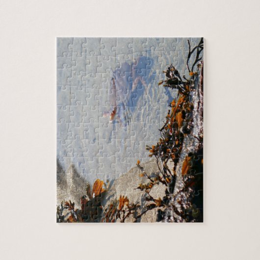 Tidepool at Sand Beach ジグソーパズル (縦)