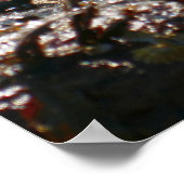 Tidepool at Sand Beach ポスター (角)