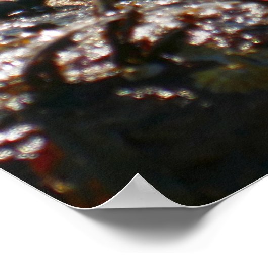 Tidepool at Sand Beach ポスター (角)