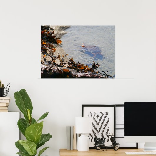 Tidepool at Sand Beach ポスター (ホームオフィス)