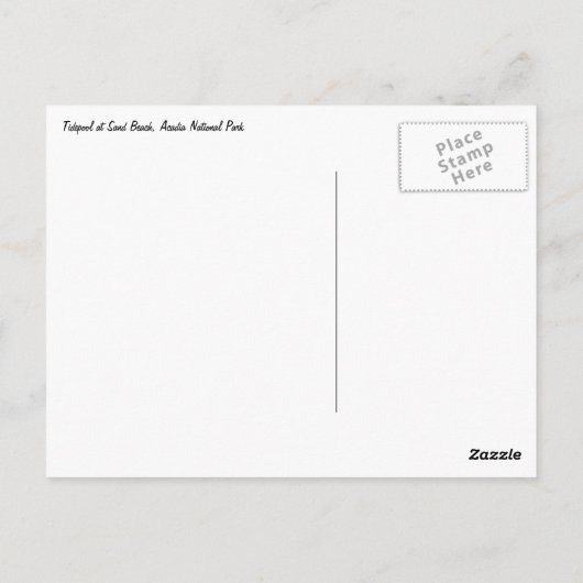 Tidepool at Sand Beach ポストカード (裏面)