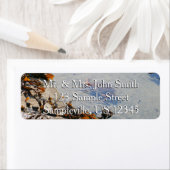 Tidepool at Sand Beach ラベル (インサイチュ)