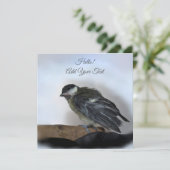 Tidi my Bird the Parusフラットカ専攻のード (スタンド正面)