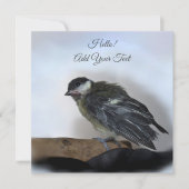 Tidi my Bird the Parusフラットカ専攻のード (正面)