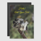 Tidi my bird the Parus磁気カ専攻のード (正面/裏面)