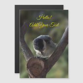 Tidi my bird the Parus磁気カ専攻のード (正面/裏面)