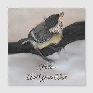 Tidi my bird the Parus磁気カ専攻のード