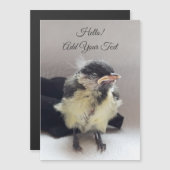 Tidi my bird the Parus磁気カ専攻のード (正面/裏面)