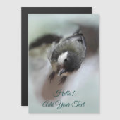 Tidi my bird the Parus磁気カ専攻のード (正面/裏面)