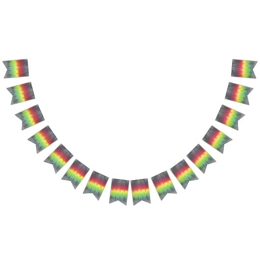 tiedyeのパーティーの旗布の旗のラスタ2 バンティングフラッグ (全)