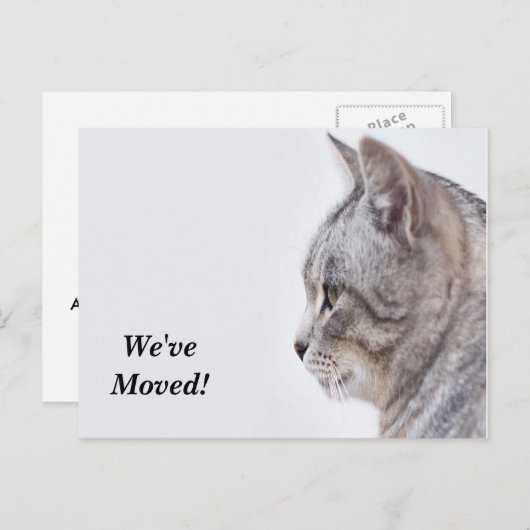 Tiffany引っ越しました新しい住所はがき 案内ポストカード (正面/裏面)